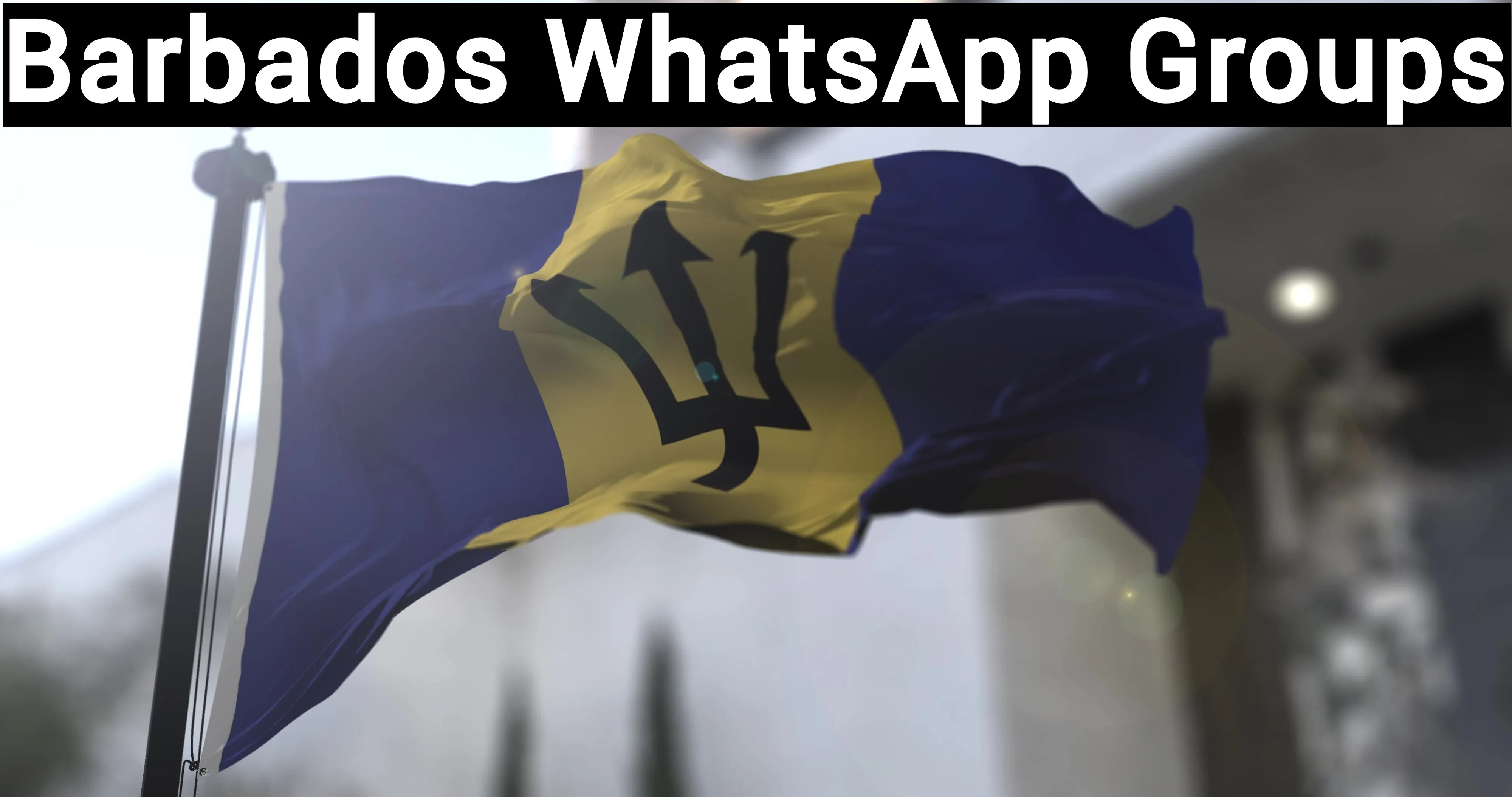 Barbados WhatsApp Group Link Barbados WhatsApp Group Link