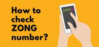 How to Check Zong Number? Methods to Check Zong Number