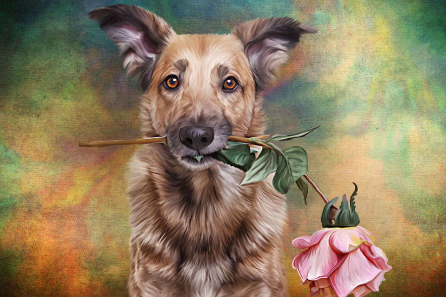 The Importance of Pet Portraits from Photos