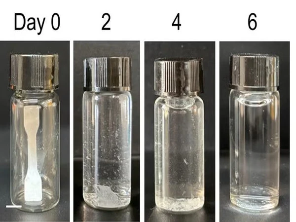 Chinese scientists create 'living plastic' that destroys itself on command