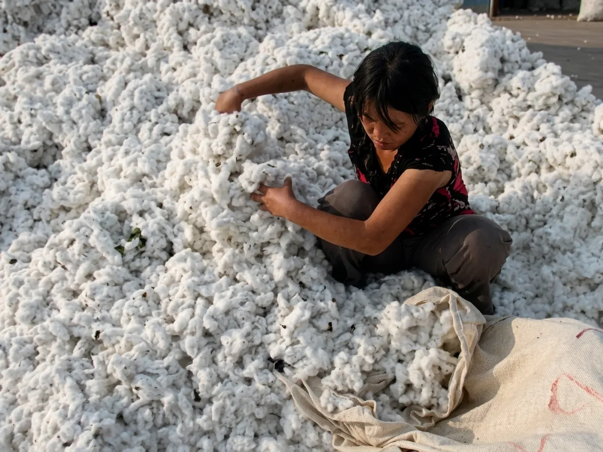Pakistan may have to import 7.2 million bales of cotton next year