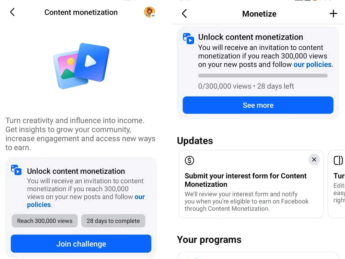 Facebook Earning