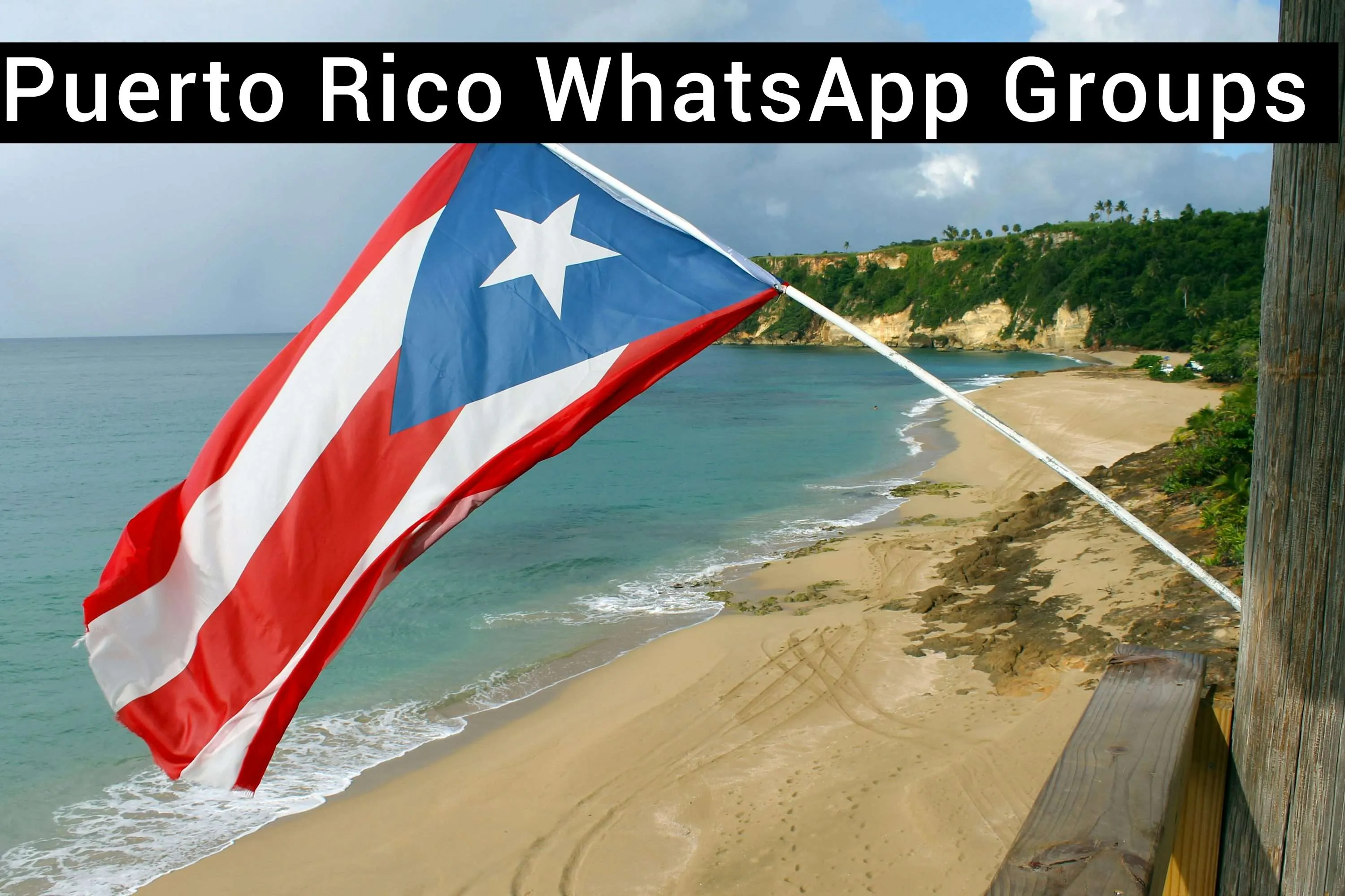 Puerto Rico WhatsApp Group Link Puerto Rico WhatsApp Group Link