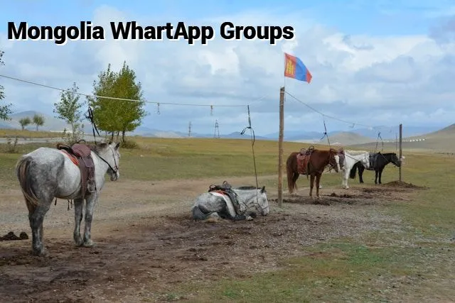 Mongolia WhatsApp Group Link Mongolia WhatsApp Group Link