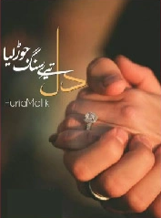 Dill Tery Sang Jor Liya Cover