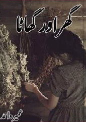 Ghar Aur Ghaata
