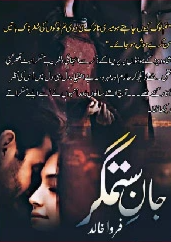Jan e Sitamgar Cover