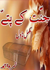 Jannat Ke Pattay Cover