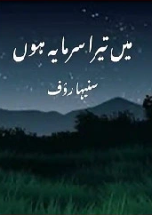 Main Tera Sarmaya Hon Cover