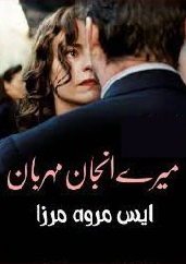 Mere Anjan Humsafar Novel Episodes 1 to 14 Cover