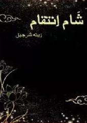 Shaam E Inteqam