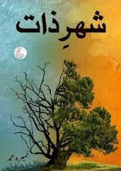 Shehr e Zaat