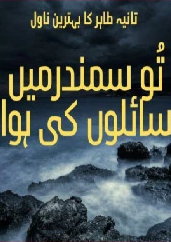 Tu Samandar Main Sahilon Ki Hawa Season 1 & 2 Cover
