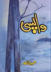 Wapsi Cover