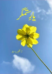 Yaar e Sitamgar Cover