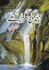 Zindagi Gulzar Hai Cover